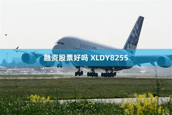 融资股票好吗 XLDY8255