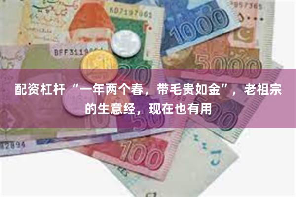 配资杠杆 “一年两个春，带毛贵如金”，老祖宗的生意经，现在也有用