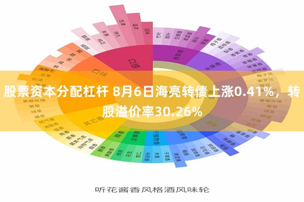 股票资本分配杠杆 8月6日海亮转债上涨0.41%，转股溢价率30.26%