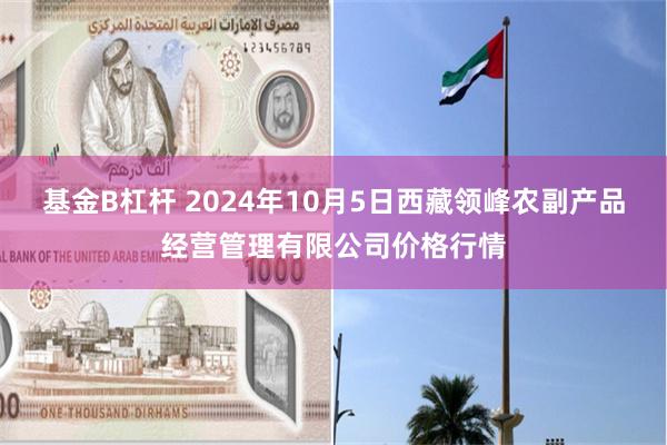 基金B杠杆 2024年10月5日西藏领峰农副产品经营管理有限公司价格行情