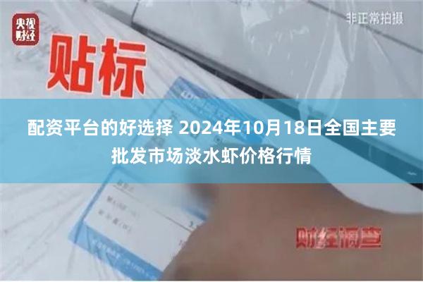 配资平台的好选择 2024年10月18日全国主要批发市场淡水虾价格行情