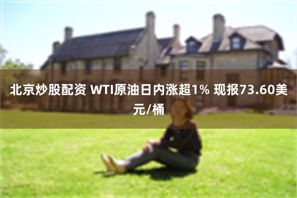 北京炒股配资 WTI原油日内涨超1% 现报73.60美元/桶