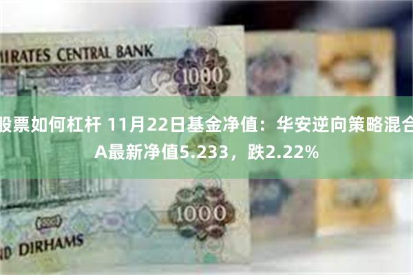 股票如何杠杆 11月22日基金净值：华安逆向策略混合A最新净值5.233，跌2.22%