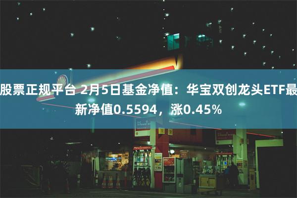 股票正规平台 2月5日基金净值：华宝双创龙头ETF最新净值0.5594，涨0.45%