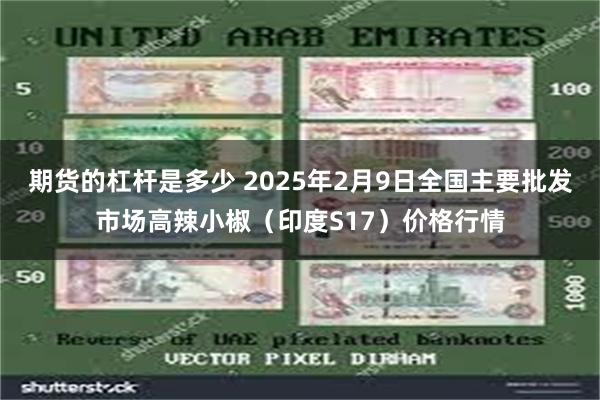 期货的杠杆是多少 2025年2月9日全国主要批发市场高辣小椒（印度S17）价格行情