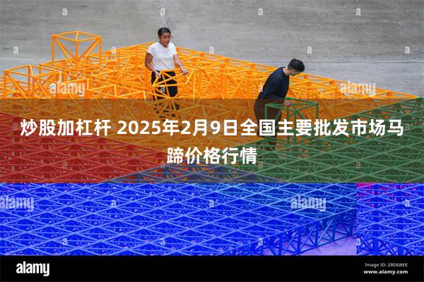 炒股加杠杆 2025年2月9日全国主要批发市场马蹄价格行情