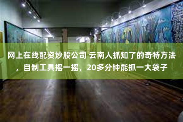 网上在线配资炒股公司 云南人抓知了的奇特方法，自制工具摇一摇，20多分钟能抓一大袋子
